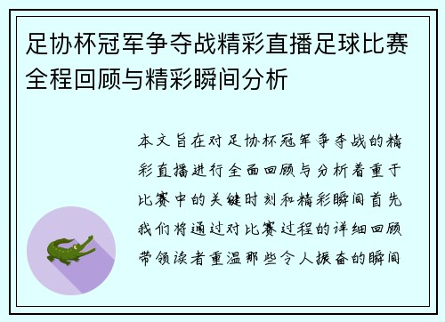 足协杯冠军争夺战精彩直播足球比赛全程回顾与精彩瞬间分析